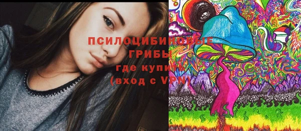 синтетический гашиш Богородицк