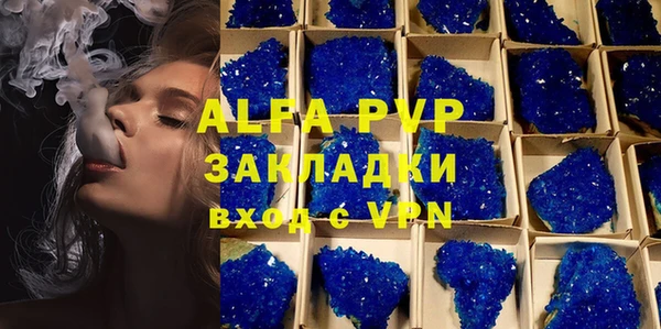 mdpv Богородск