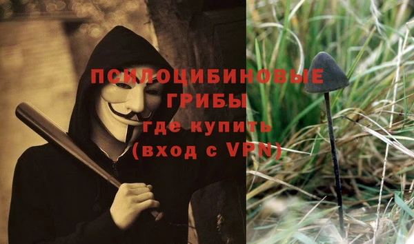 синтетический гашиш Богородицк