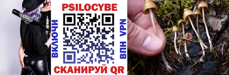 Псилоцибиновые грибы прущие грибы  купить  сайты  Бирюч 